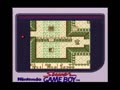ゼルダの伝説　夢を見る島配信　3