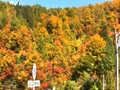 秋田県湯沢市の三途川渓谷の紅葉🍁です。数日前の動画ですが、キレイでした😊