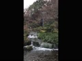 京都、梅小路公園、朱雀の庭、滝の流れ